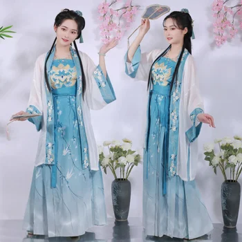 Hanfu Daina Kopūstai Hanfu Moterų Siuvinėjimo Juosmens ilgis Arklių Veido Sijonas Vasaros Modelis